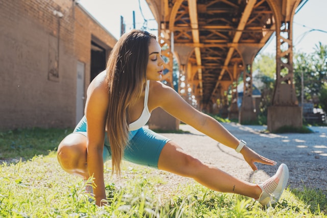 Imagine despre Farlonetria